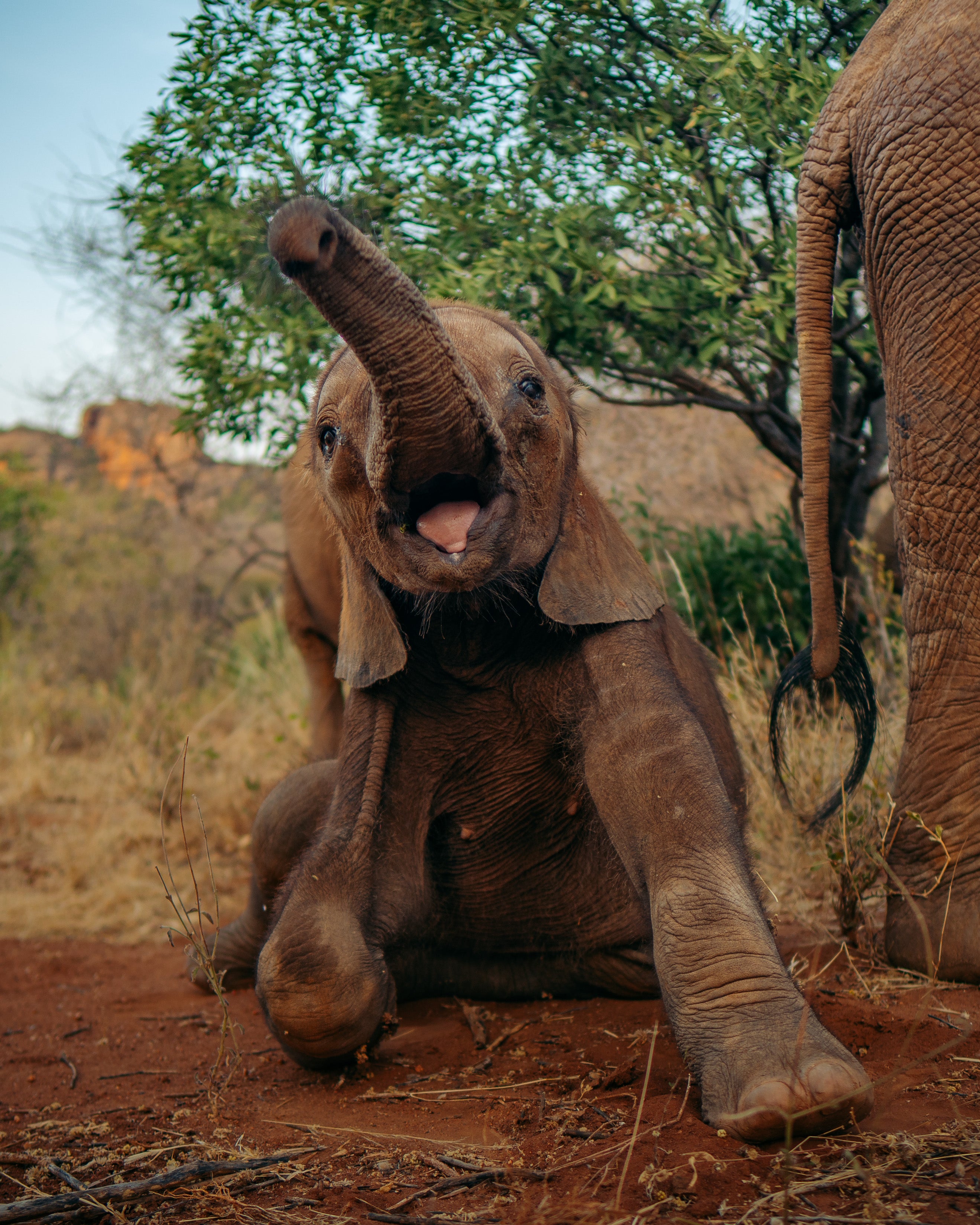 Kimani Photography Print