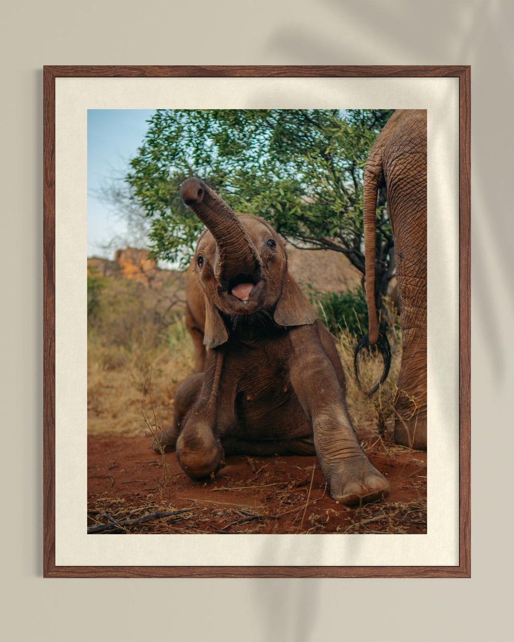 Kimani Photography Print