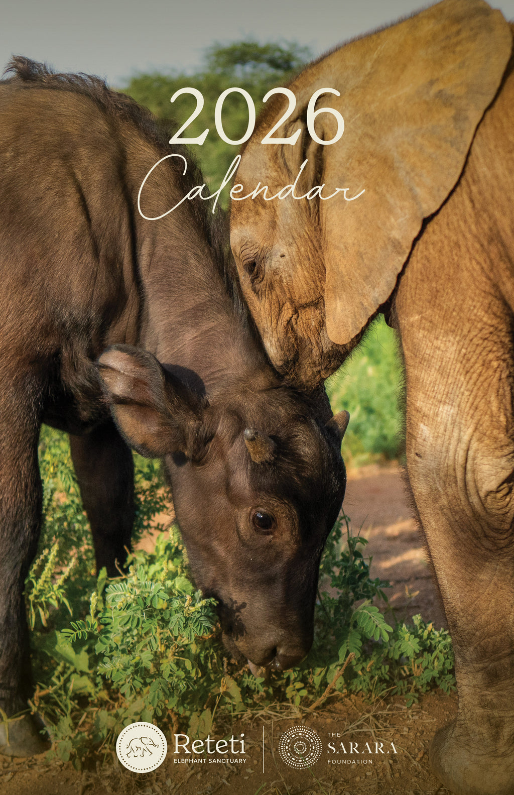 2026 Reteti Wall Calendar