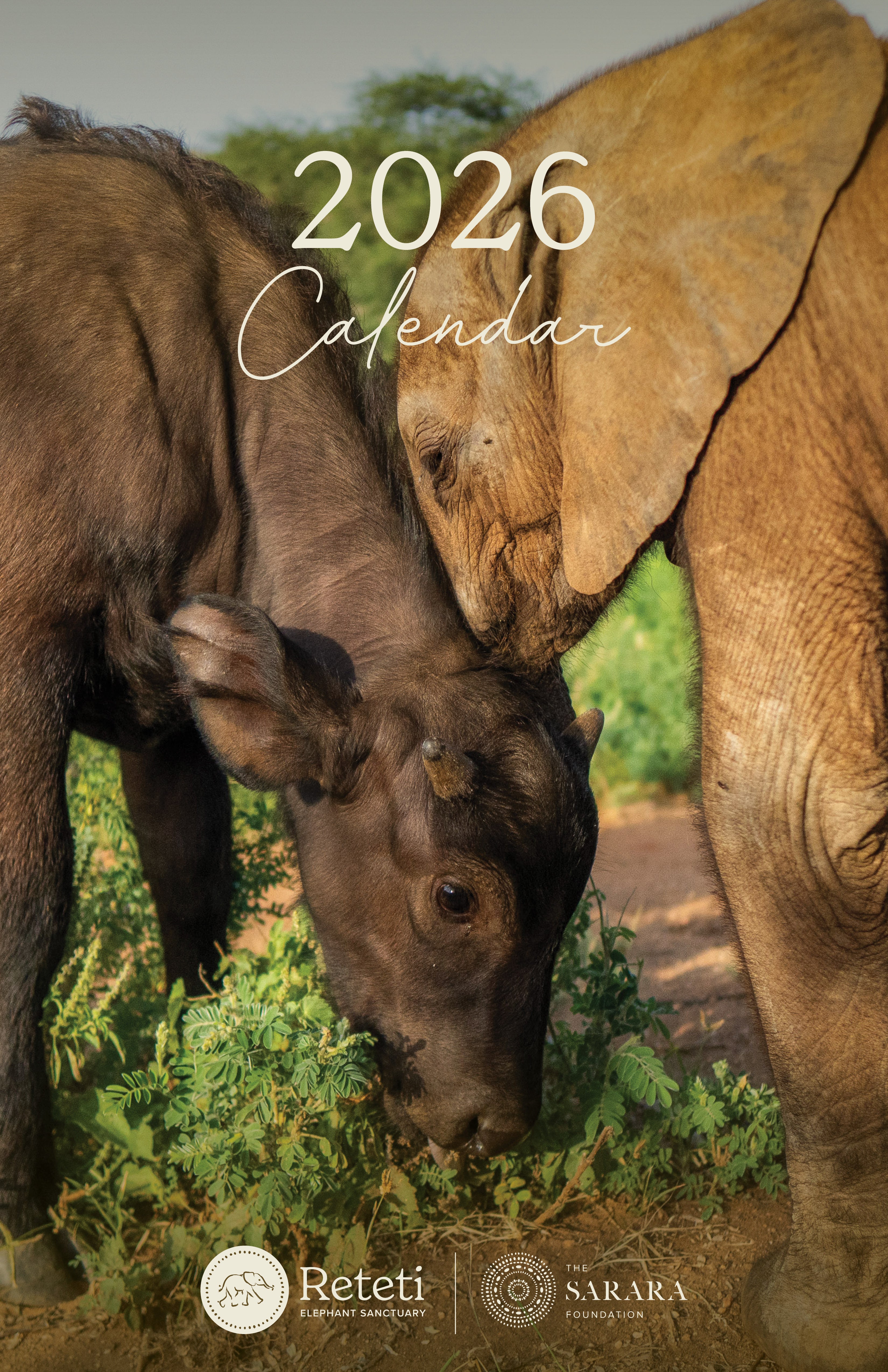2026 Reteti Wall Calendar