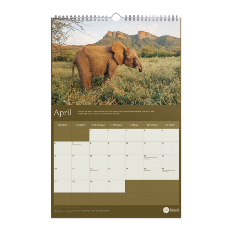 2026 Reteti Wall Calendar