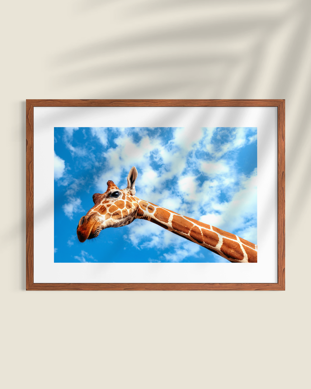 Lemasai Photography Print