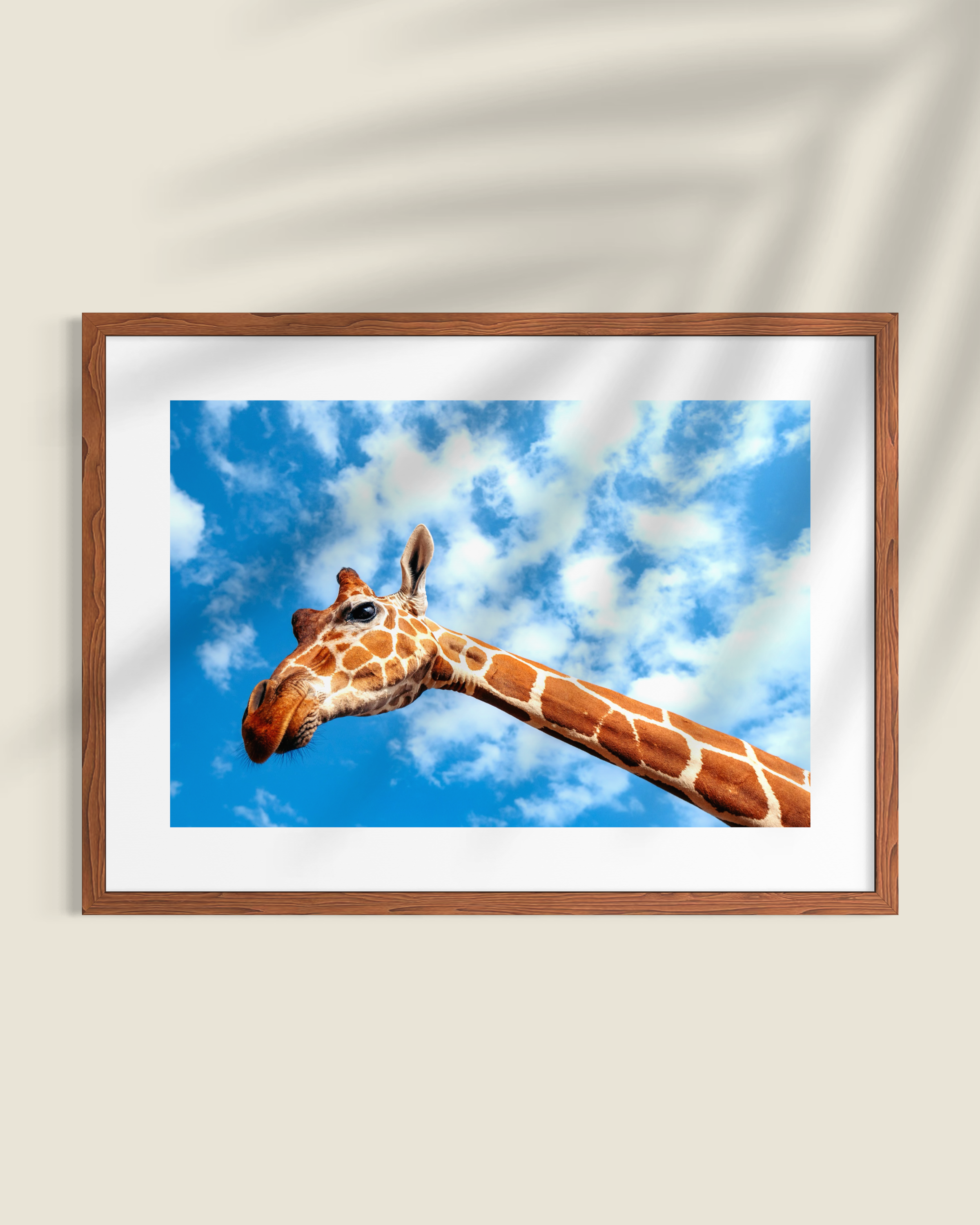 Lemasai Photography Print