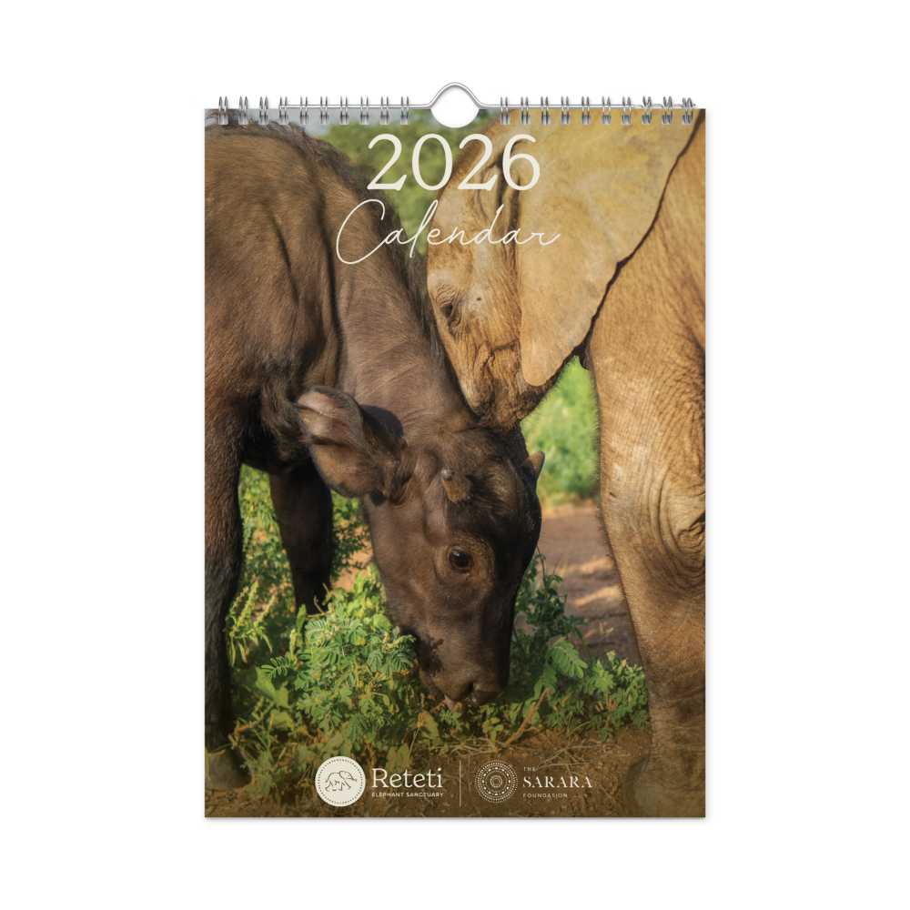 2026 Reteti Wall Calendar